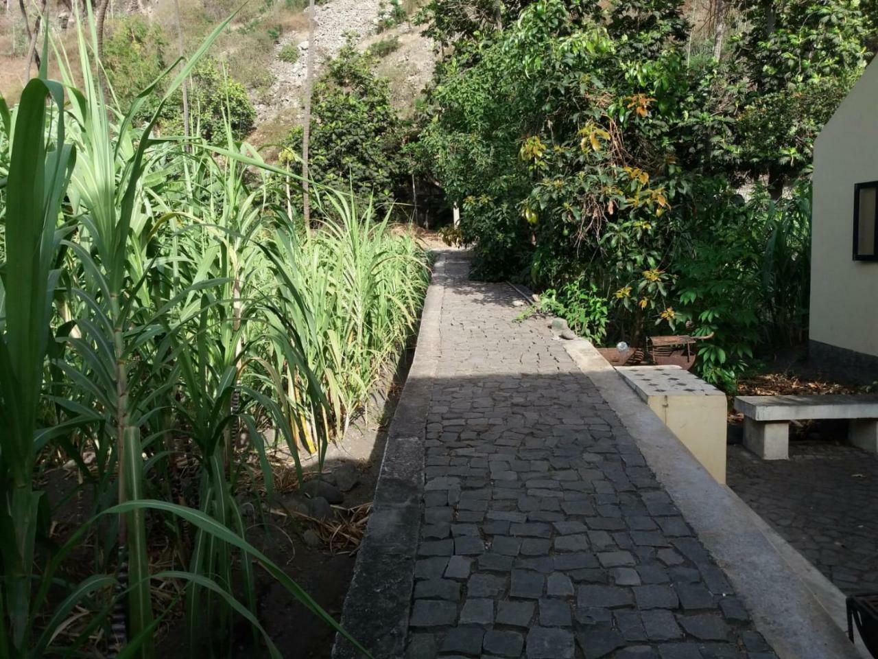 Ribeira Grande Country House Cha de Arroz Экстерьер фото