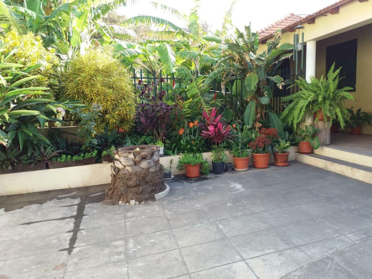 Ribeira Grande Country House Cha de Arroz Экстерьер фото