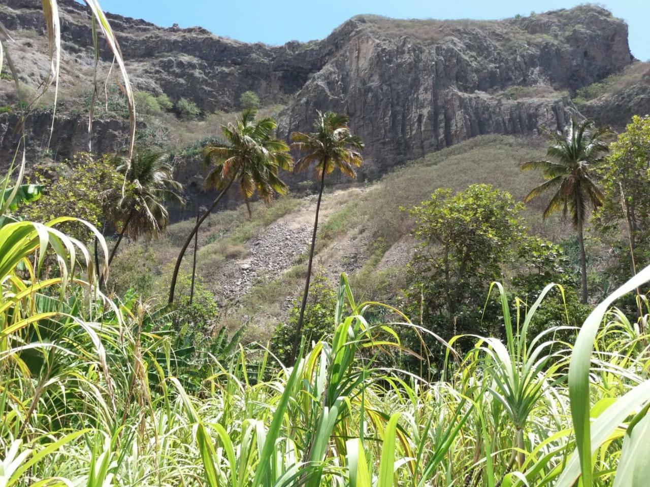 Ribeira Grande Country House Cha de Arroz Экстерьер фото
