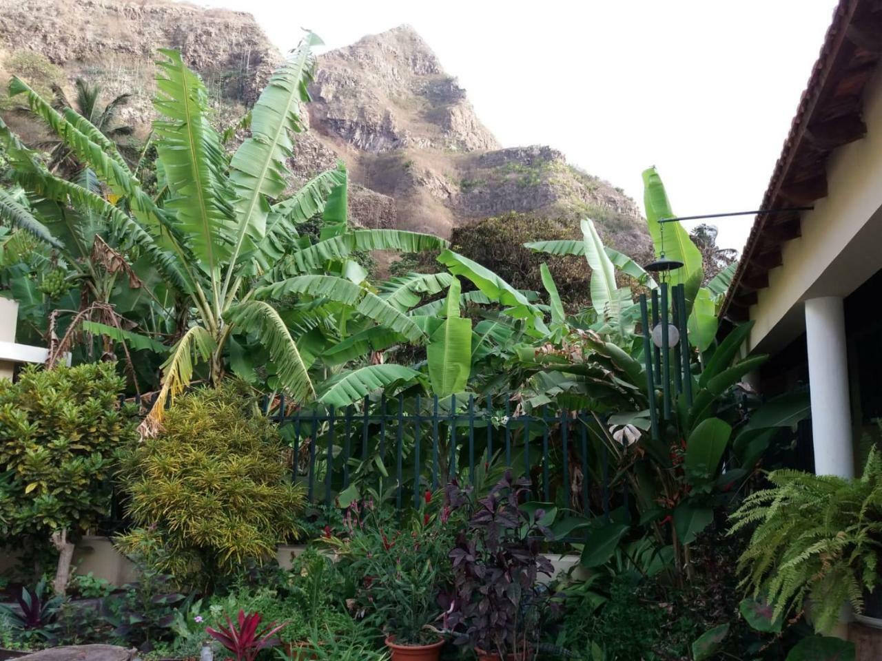 Ribeira Grande Country House Cha de Arroz Экстерьер фото